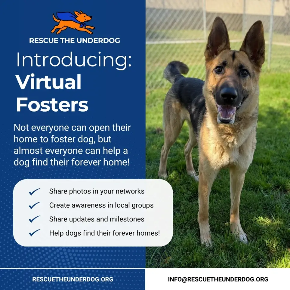 Virtual Foster