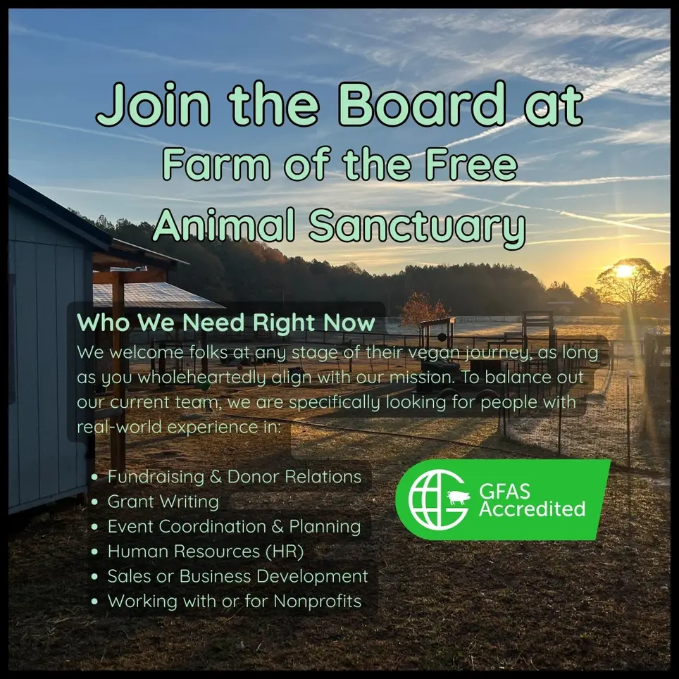 Board of Directors Member (Hands-On Working Board)