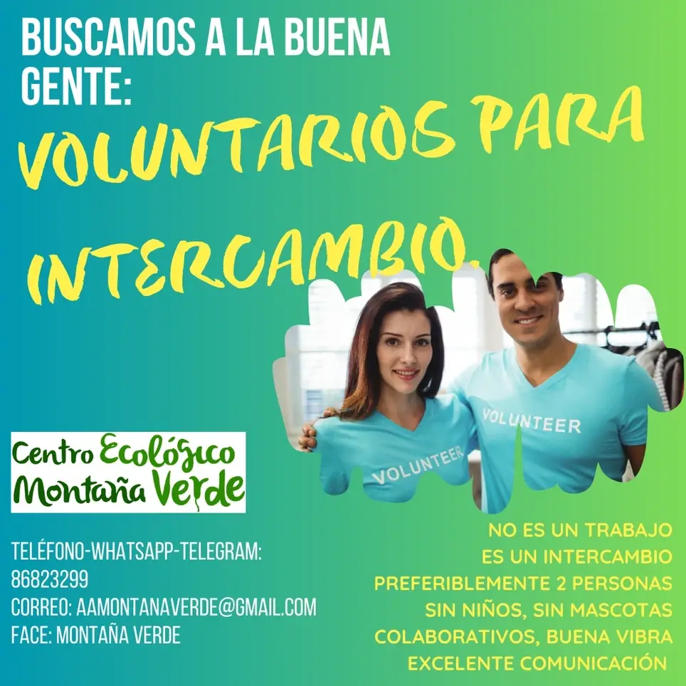 Voluntariado de intercambio