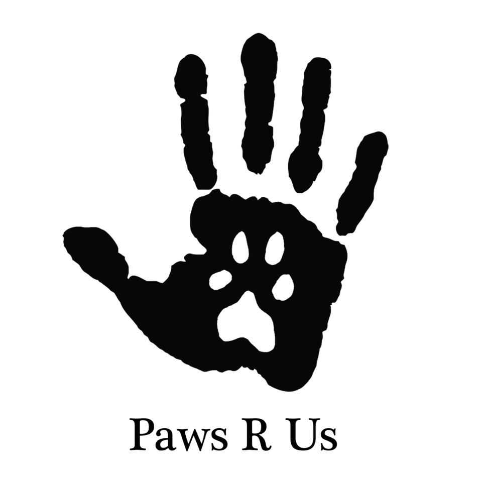 Facility Improvement & Construction Volunteer