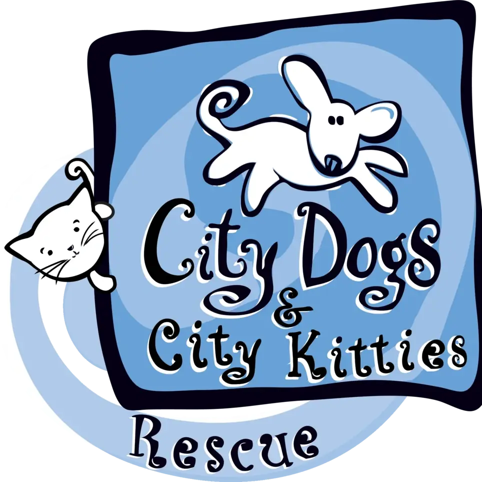 City Dogs and City Kitties Rescue Foster