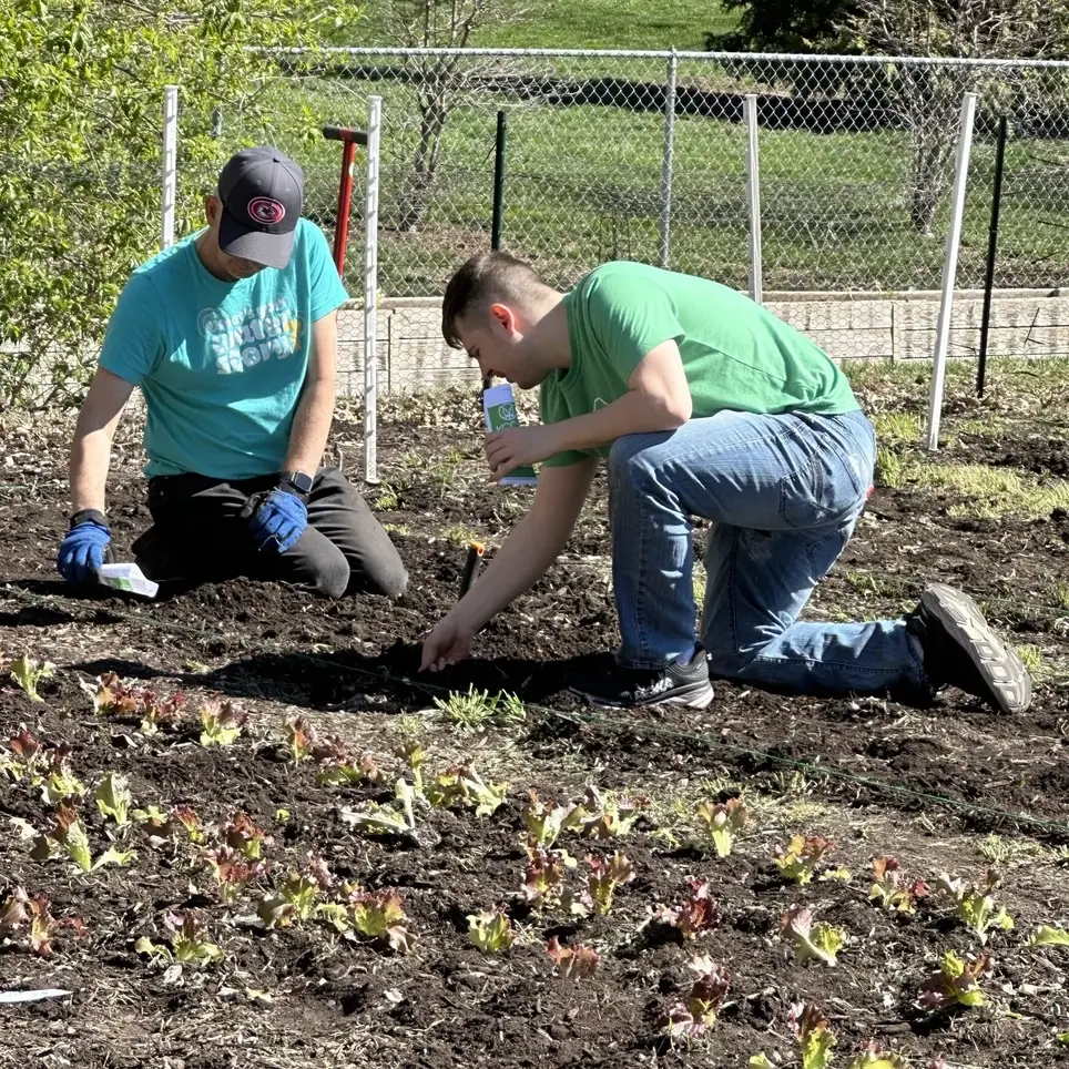 Help Us Fight Cancer by Growing Organic Food! Volunteer Gardeners Needed!