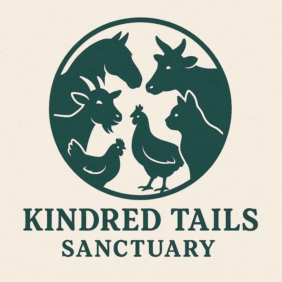 Position: Cat Adoption Marketing Volunteer