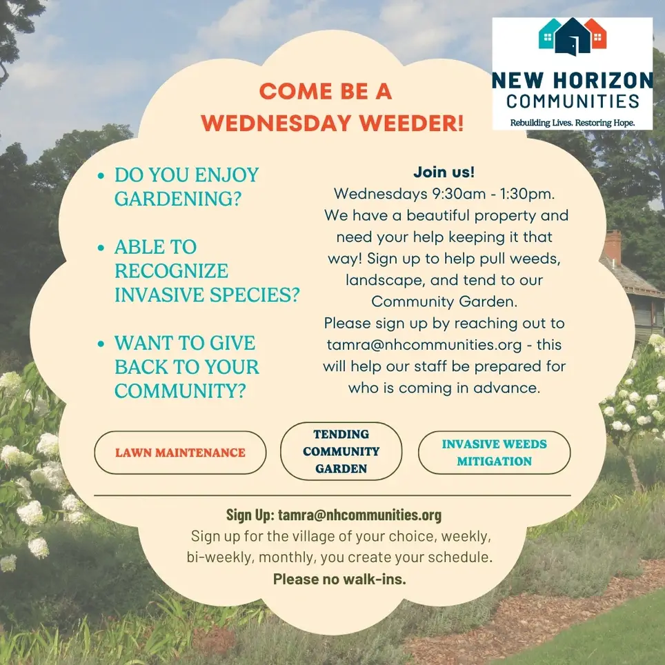 Be A Wednesday Weeder! Ok, it doesn't have to be on a Wednesday