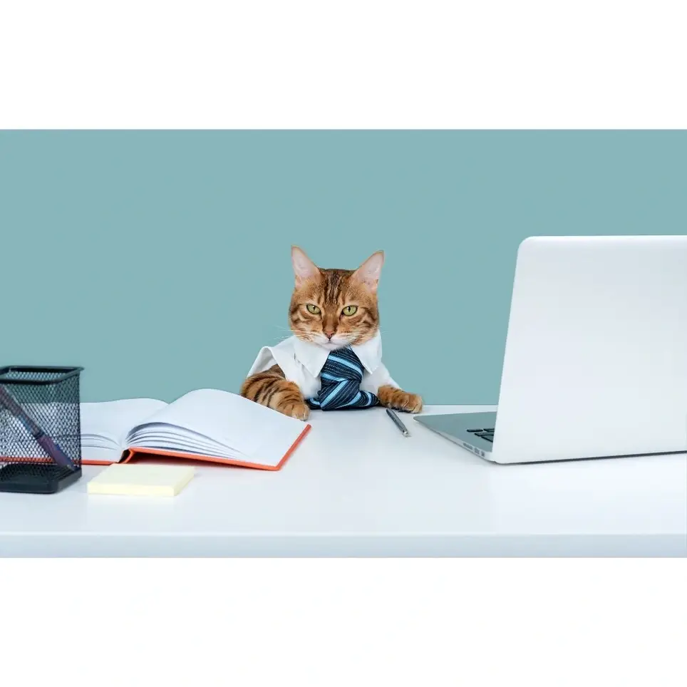 Copy Cat😺 aka proof reader