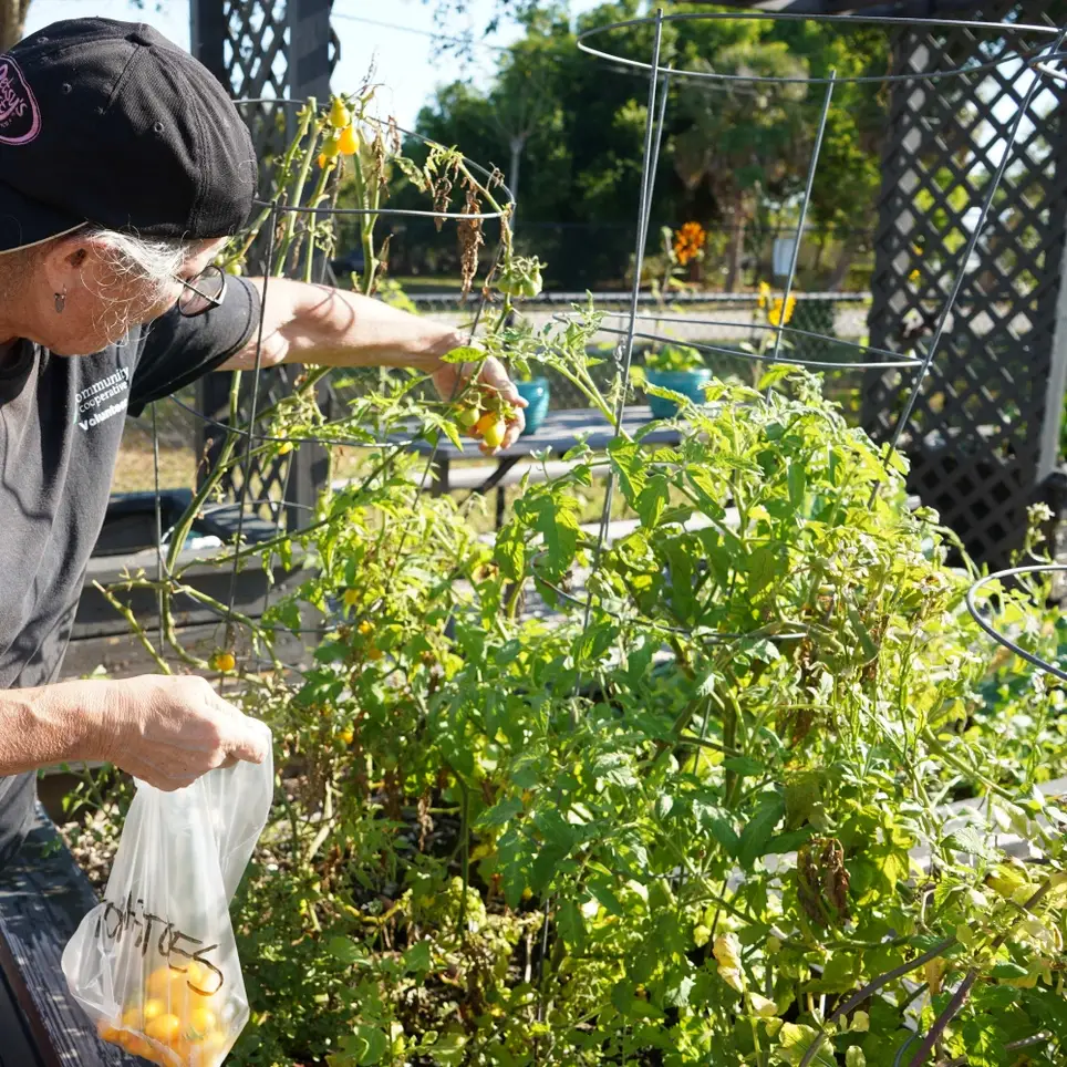 Looking for volunteers with a passion for being outdoors!