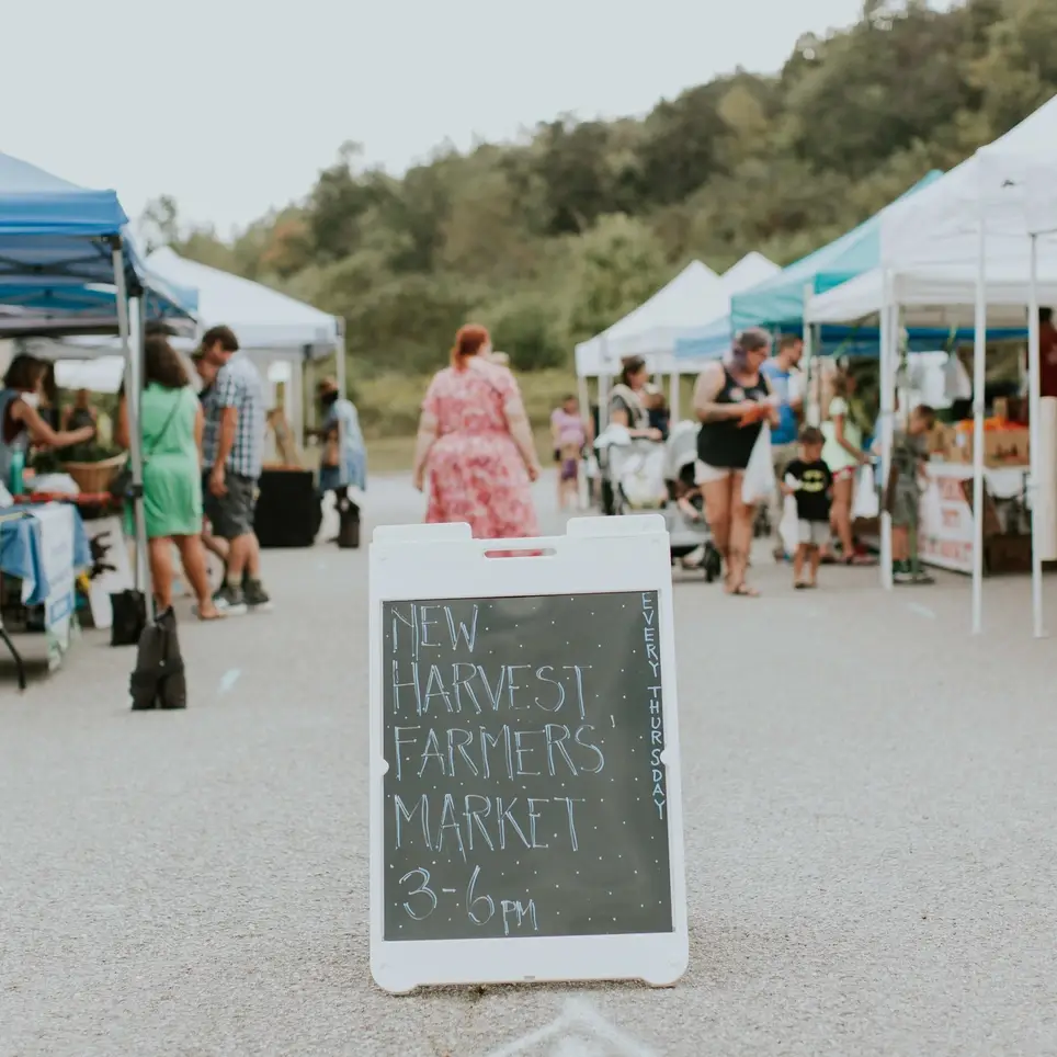 New Harvest Farmers Market Volunteer