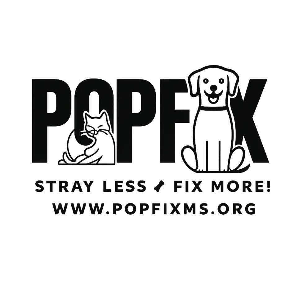 Grant Application Processor