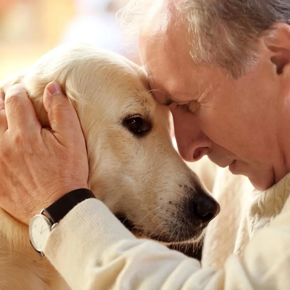 Pet Therapy - Hospice