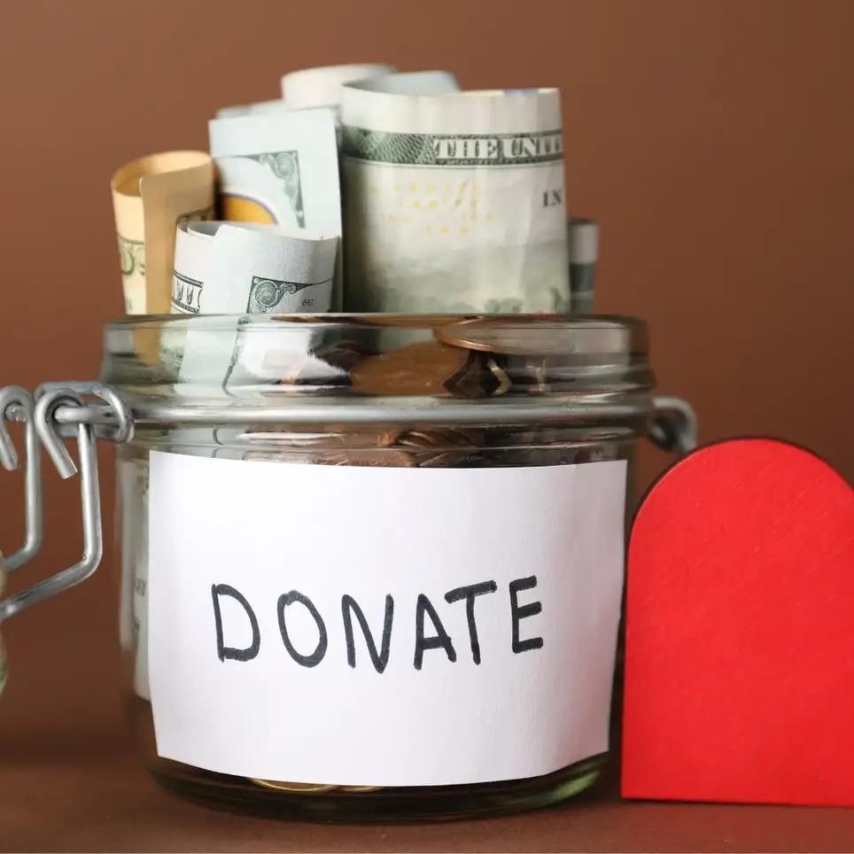 💰 Fundraising + Sponsorship — Lead