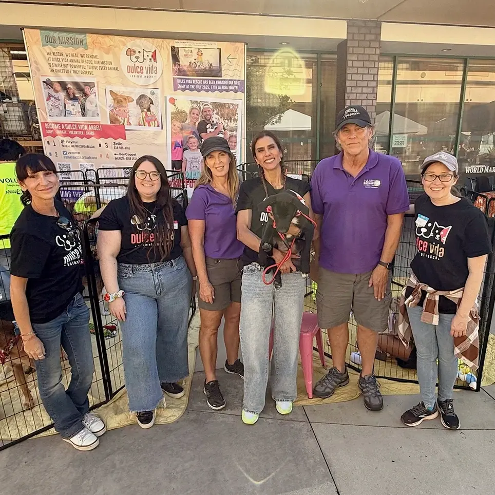 Post Adoption Individual Support