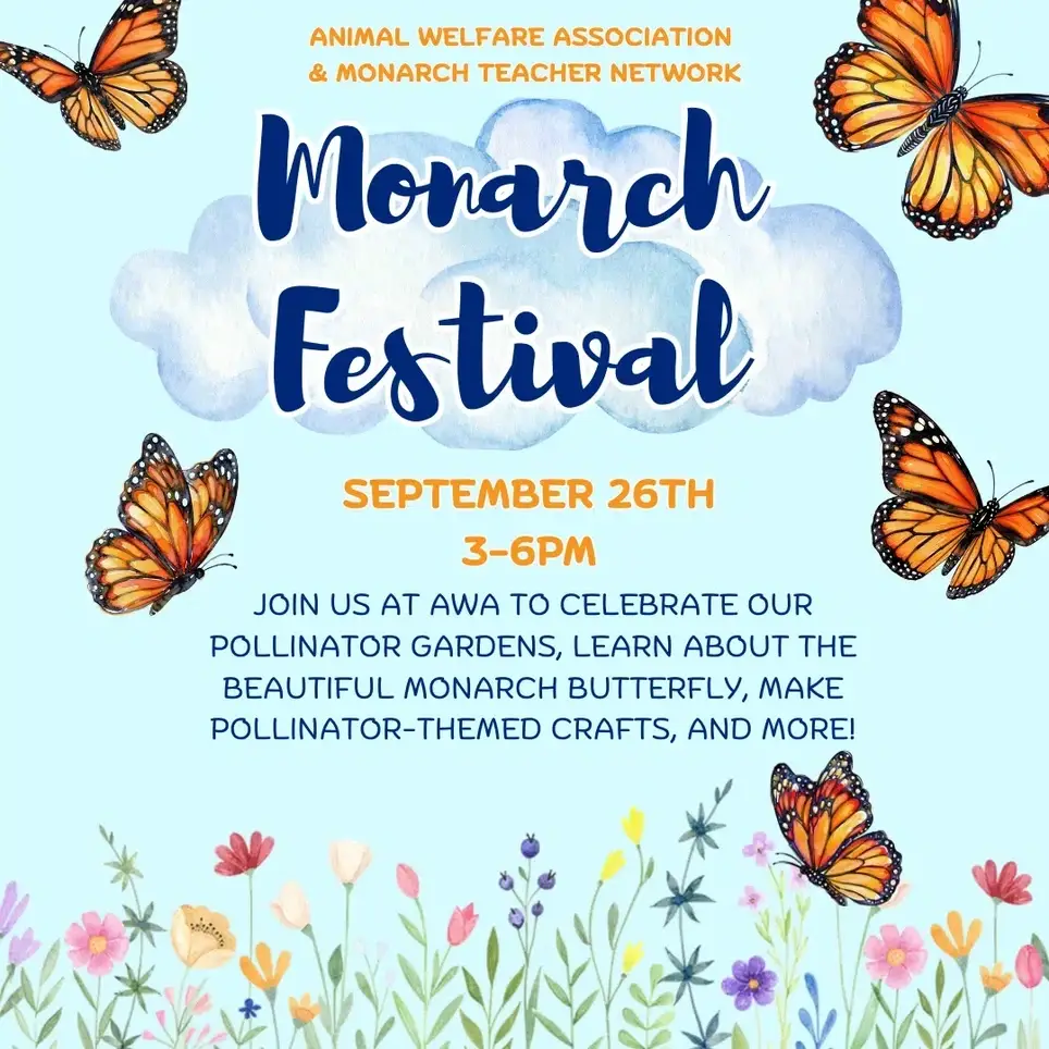 9/26/26 Monarch Festival Event