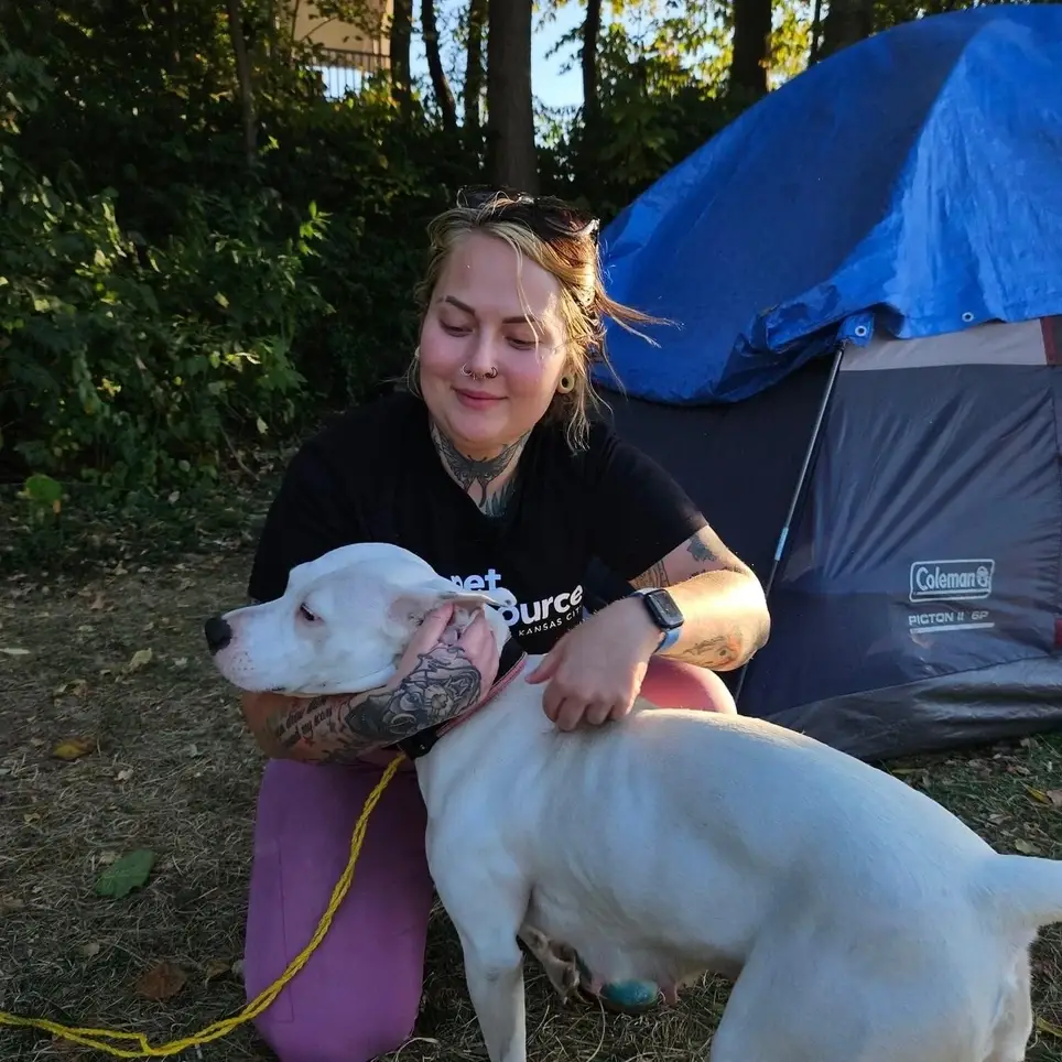 Wednesday Evenings: Help Homeless Pets