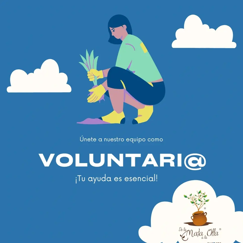 Voluntario de soporte para creación de contenido para redes