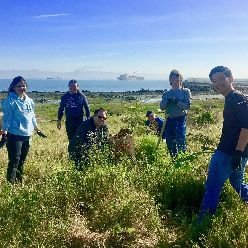 Help Golden Gate Bird Alliance restore critical wetlands habitat on San Francisco's SE waterfront