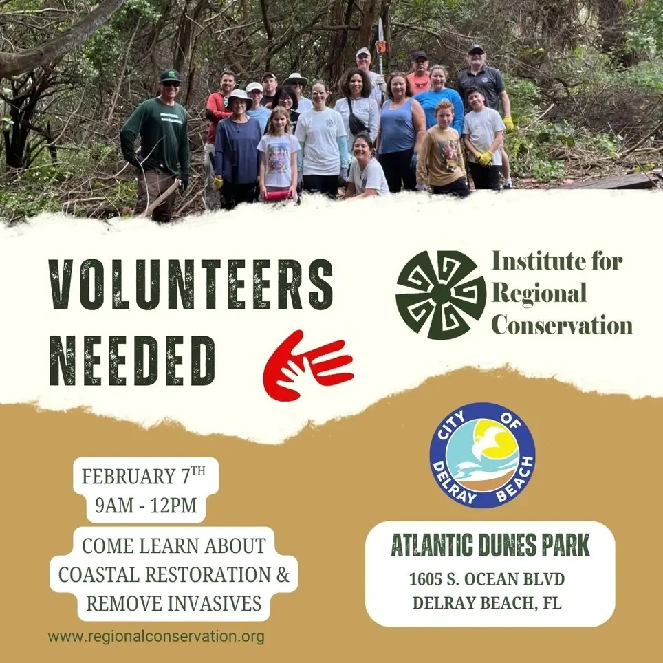 2/7 Ecological Restoration Volunteer Day at Atlantic Dunes Park, Delray Beach FL