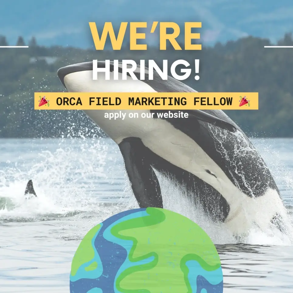 Orcas Field Marketing Fellow