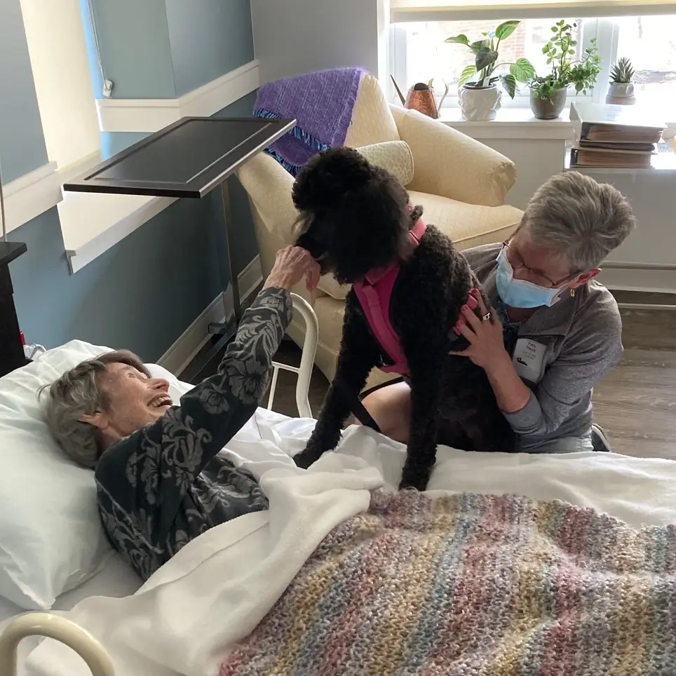 Grace Hospice Seeking Human and Pet Volunteers!