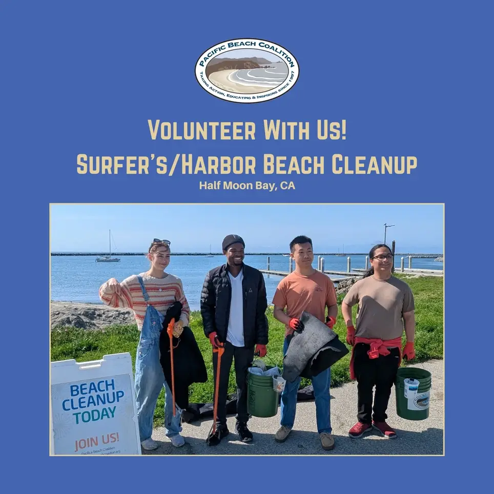 Help Remove Plastics from the Ocean! Join the Surfers Beach & Bluff Cleanup in Half Moon Bay, CA