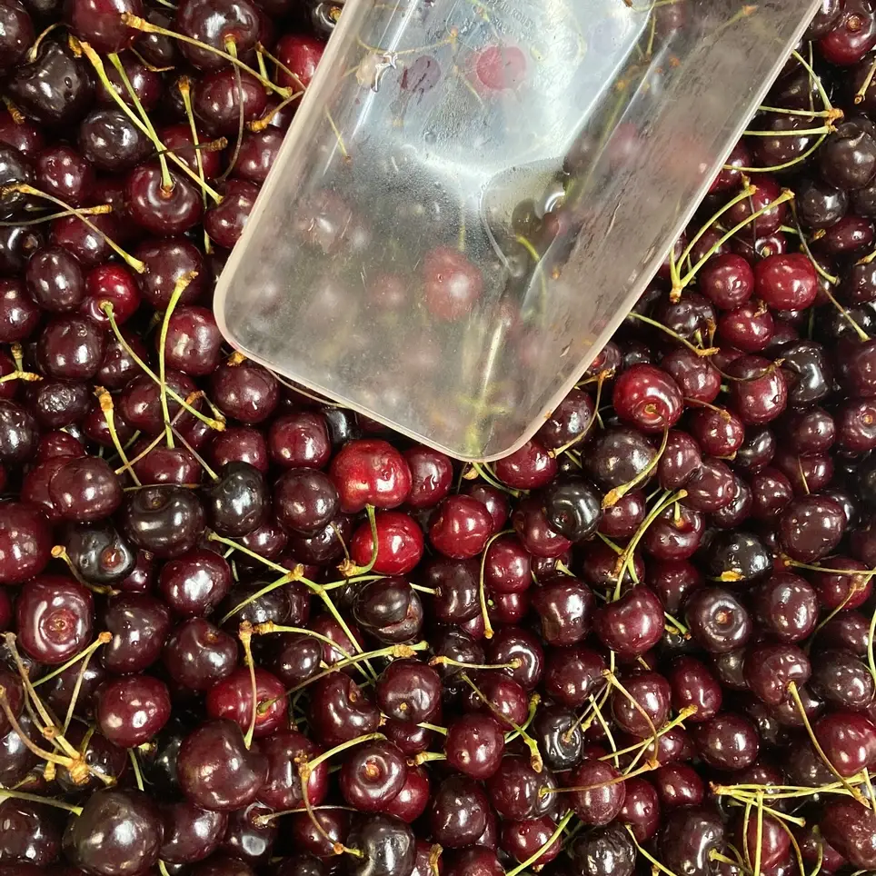 Rescue Food in the FareStart Kitchen