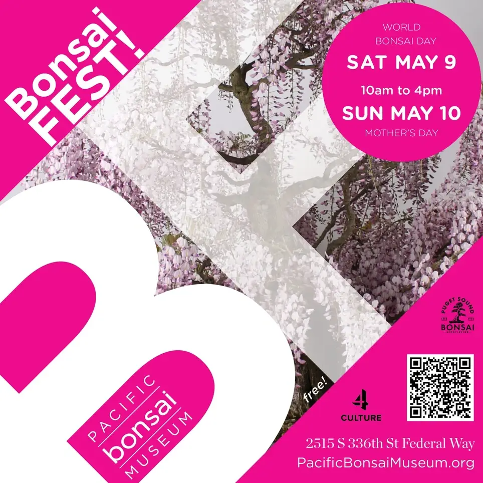BonsaiFEST! Volunteer