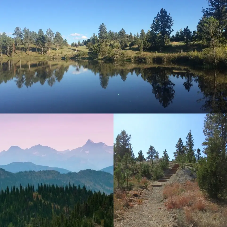 Lakeside Project in Southeast Montana Fossil Lovers Paradise