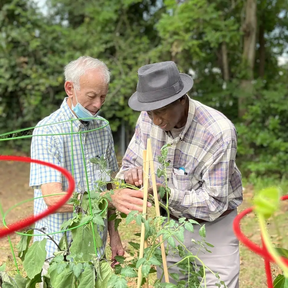 Have FUN with Seniors with Alzheimer's / Memory Loss - North Charleston