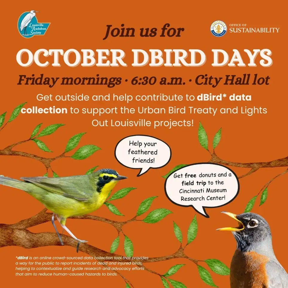 Save Birds by Helping Us Collect Building Collision Data