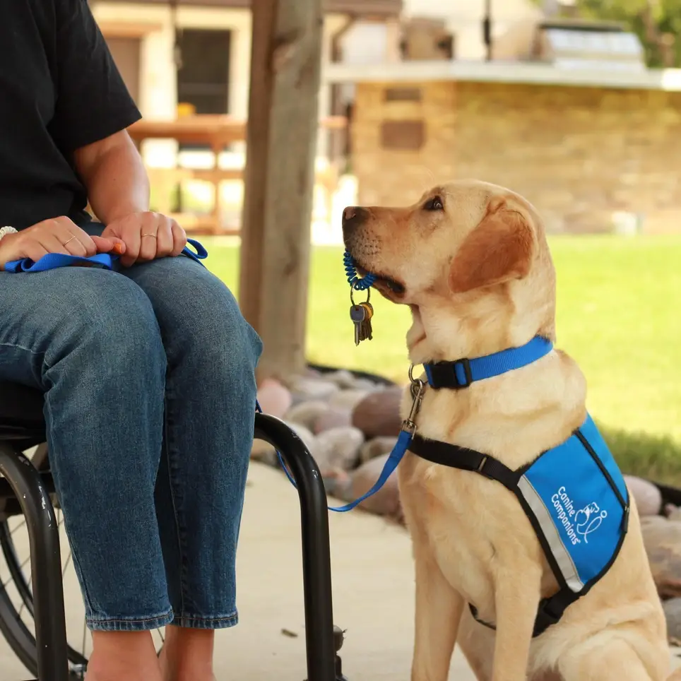 Foster a Future Service Dog (shuttle available)