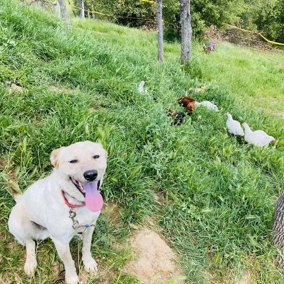 QuickBooks Online Bookkeeper With Nonprofit Background