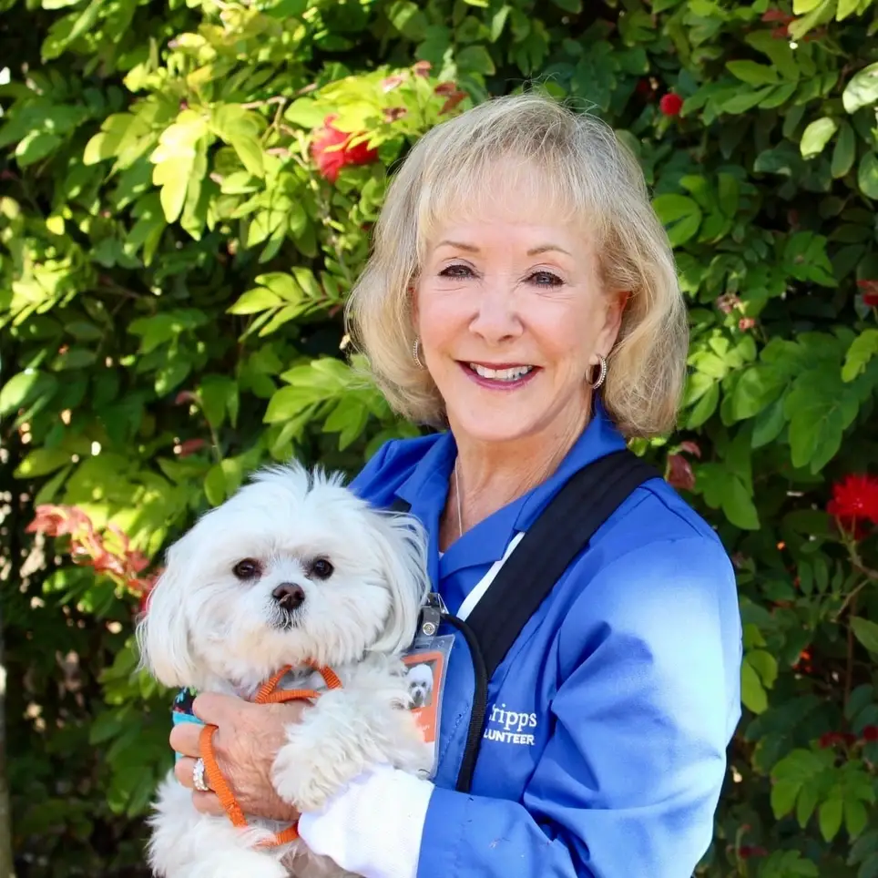 Looking for something fun to do with your loveable dog while giving back?