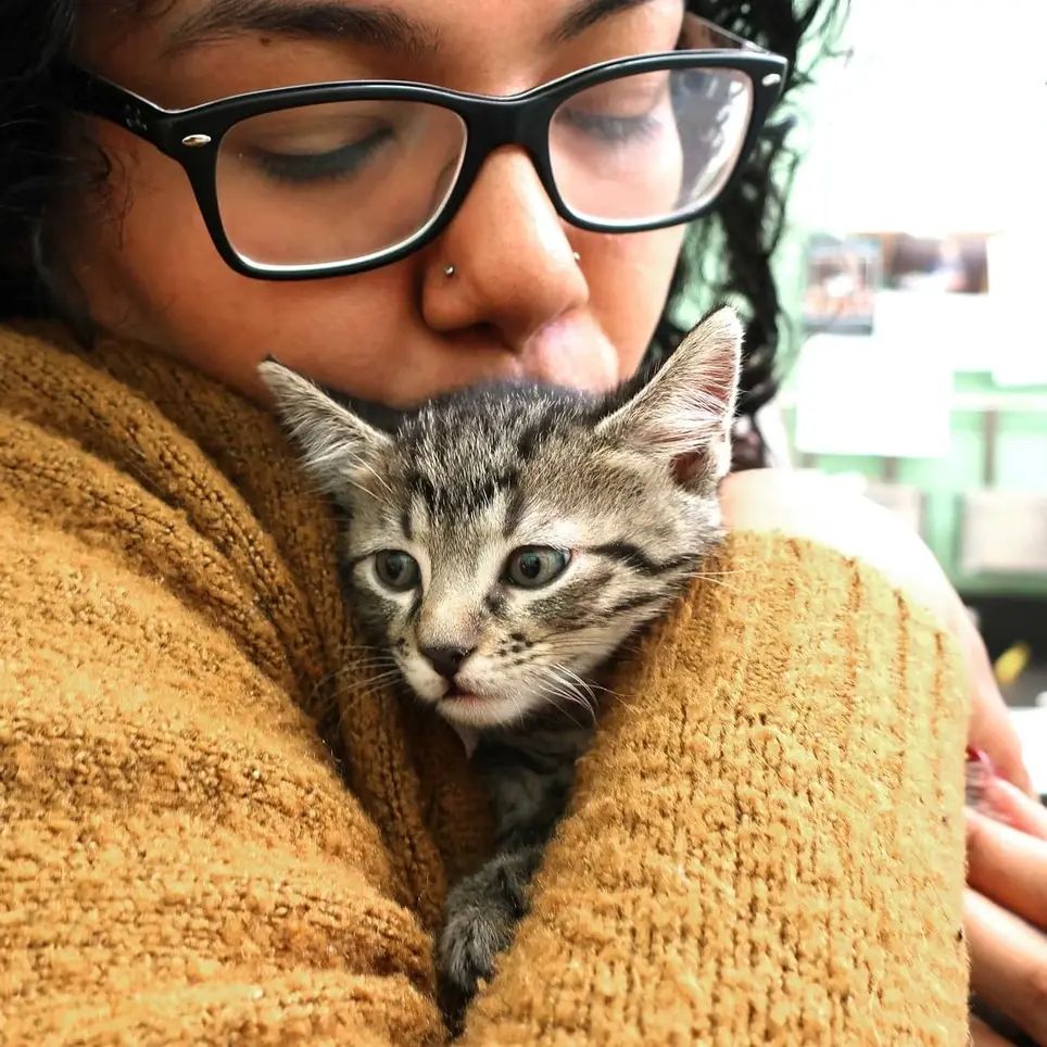 First Friday Pet Vaccination Clinic