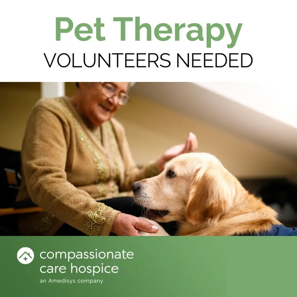 Pet Therapy volunteers for Hospice patients Greater Taunton Area