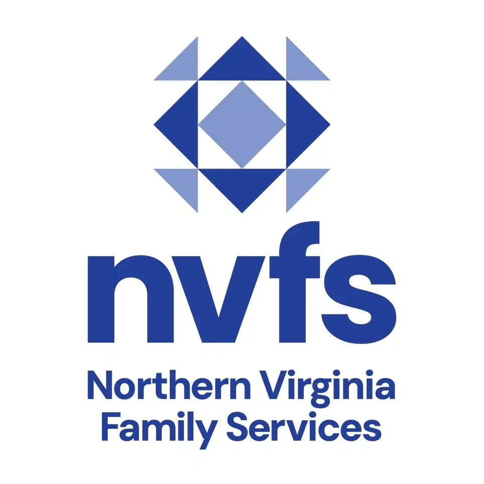 Vision Program Assistant