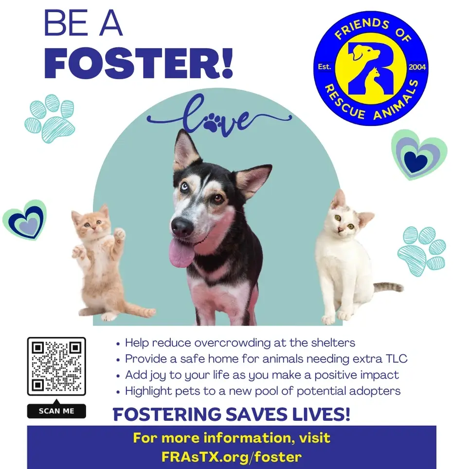 Fosters Needed! Calling All Super Heroes!