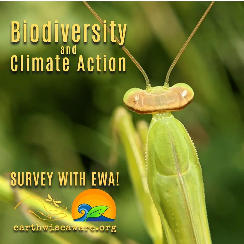 Growing Center Biodiversity & Climate Citizen Scientist