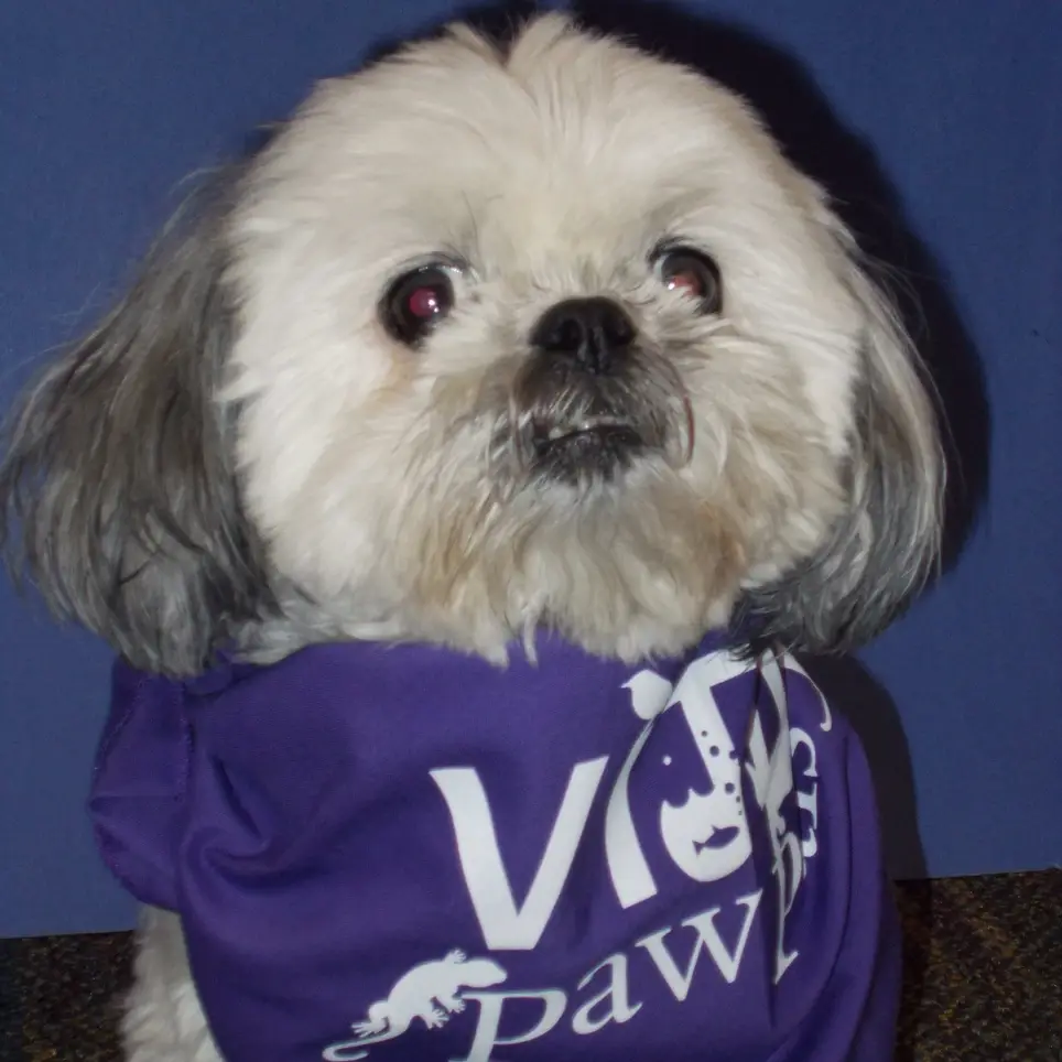 Take your pet to visit hospice patients!!