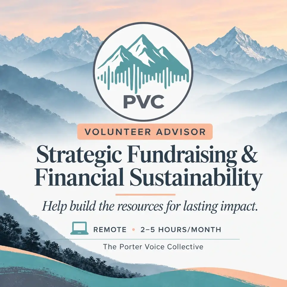 Strategic Fundraising & Financial Sustainability Advisor