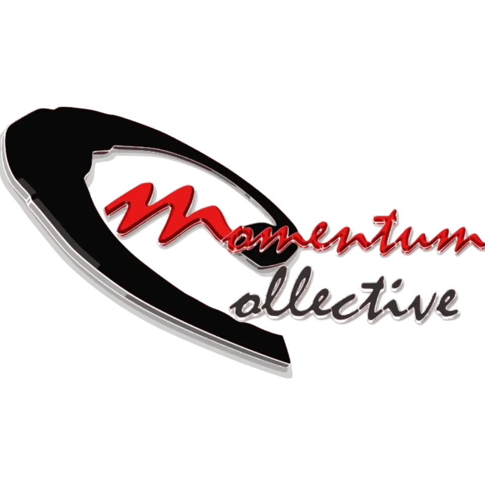 Costume Designer (Tailor/Dressmaker)
