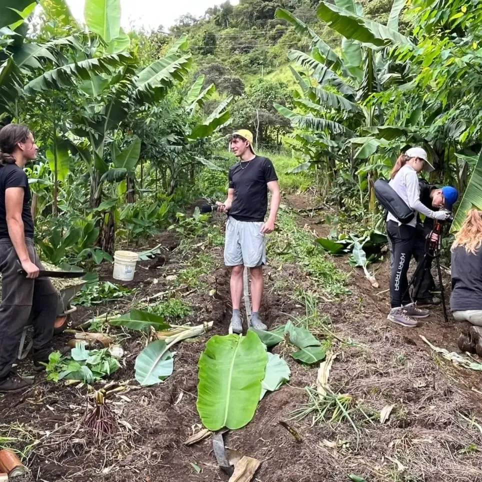Eco‑Adventure: Short‑Term Volunteering on a Brazilian Permaculture Farm