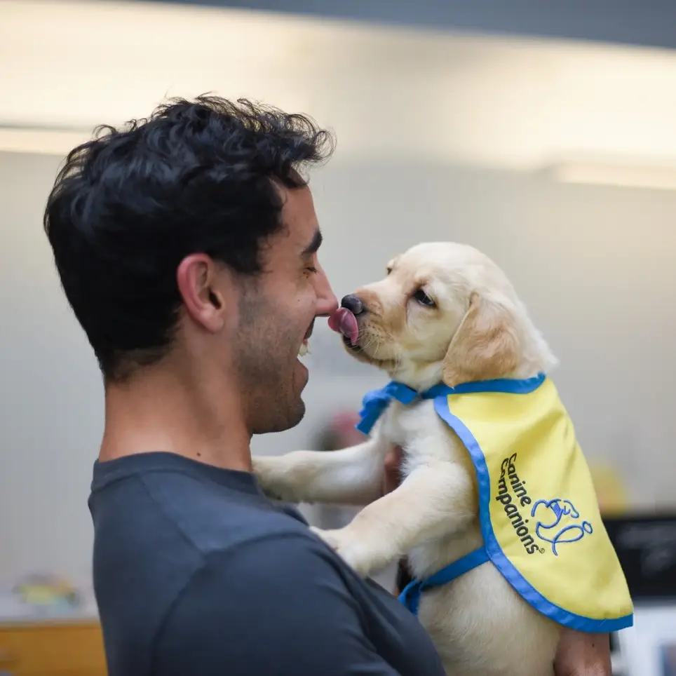 Puppy Raisers Needed to Raise a future service dog puppy!