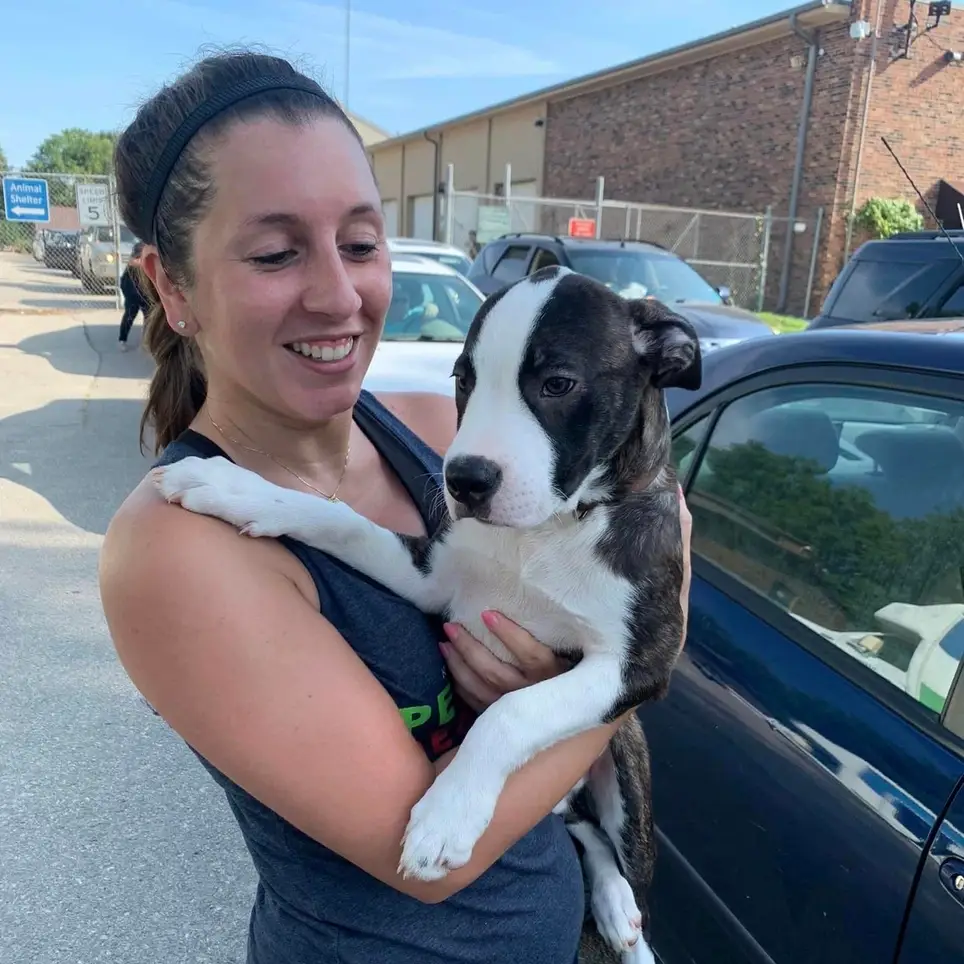Calling All Joggers/Walkers: Help Run Pets at PRCKC!
