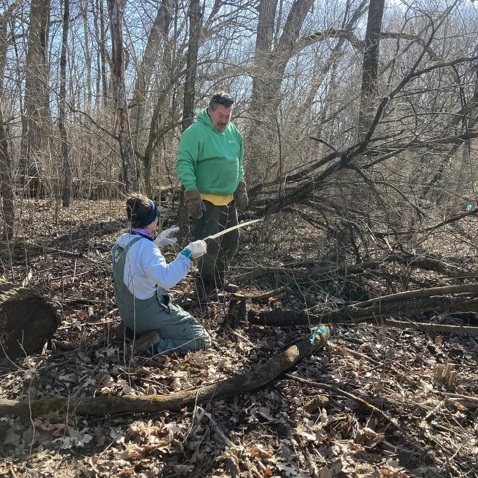 Nature Restoration Workdays - One Time Opportunities Every Weekend with The Forest Preserve!