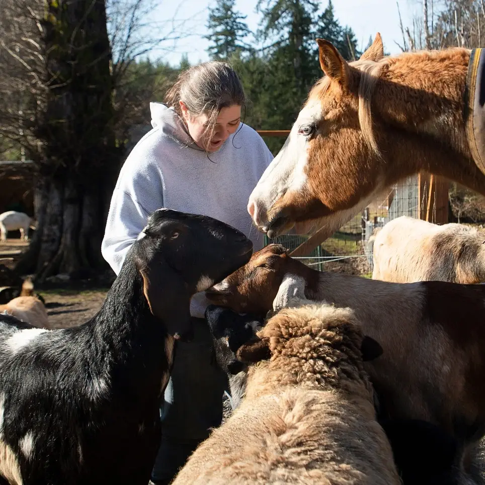 Love animals? Sanctuary caretakers needed!