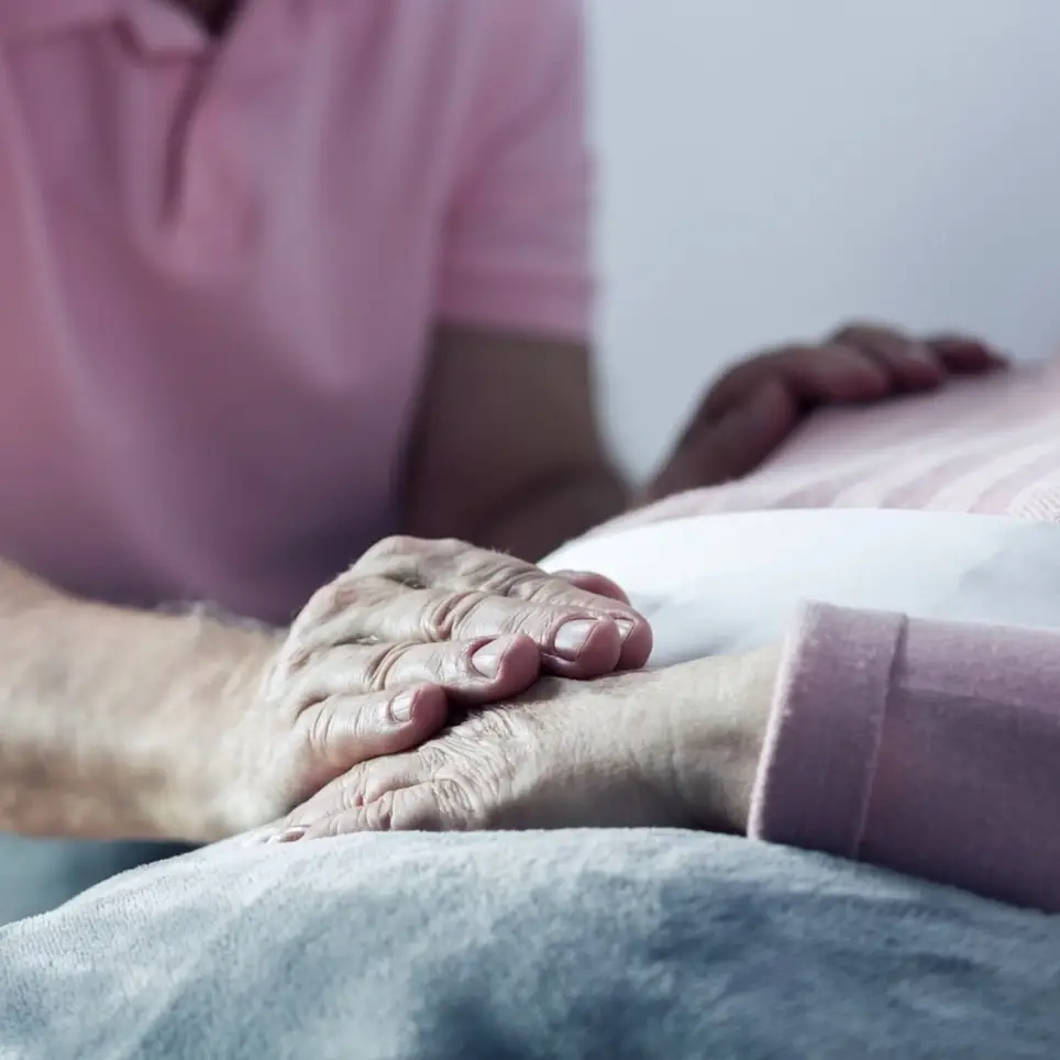 Become a COMPANION/SUPPORT Volunteer for Hospice Patients in Oswego area