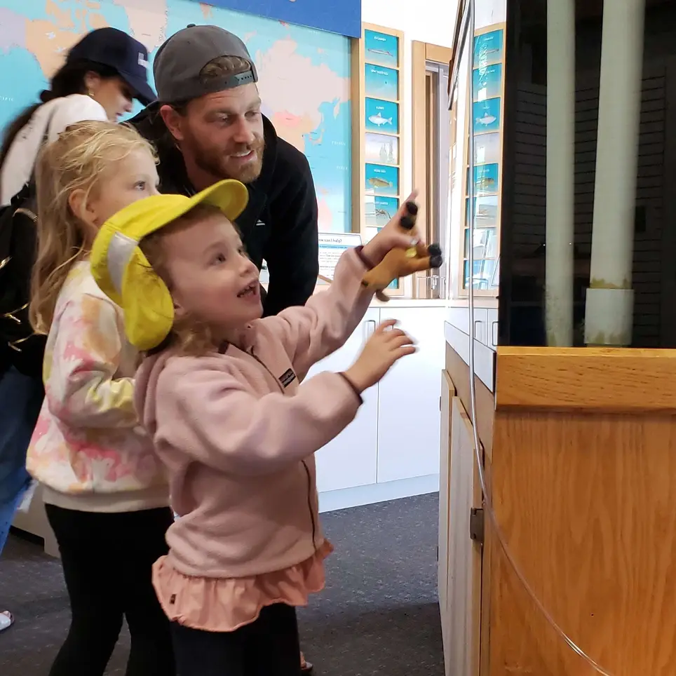 Aquatic Husbandry/Aquarium Maintenance