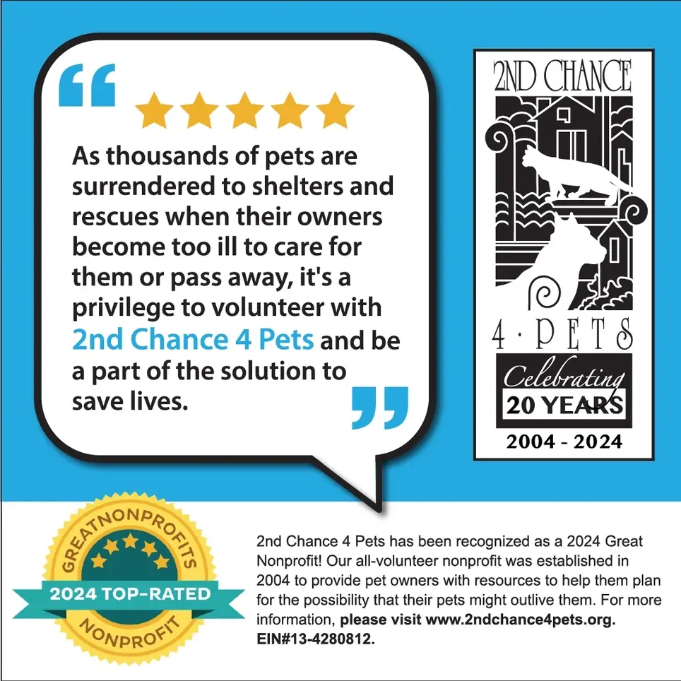 VIRTUAL (REMOTE) Graphic Designers: Volunteer to Create LinkedIN and Facebook Carousels and Banners