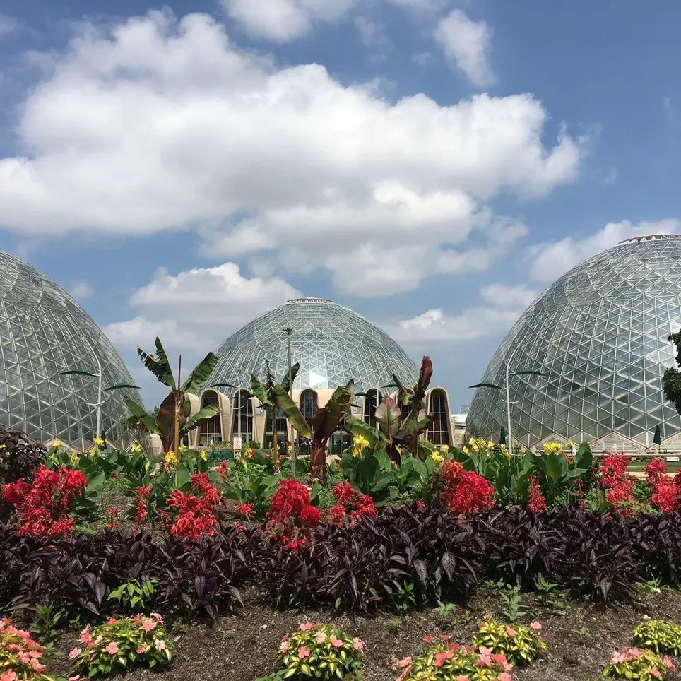 Comparte Cuentos, Inspira Sonrisas en el Domes