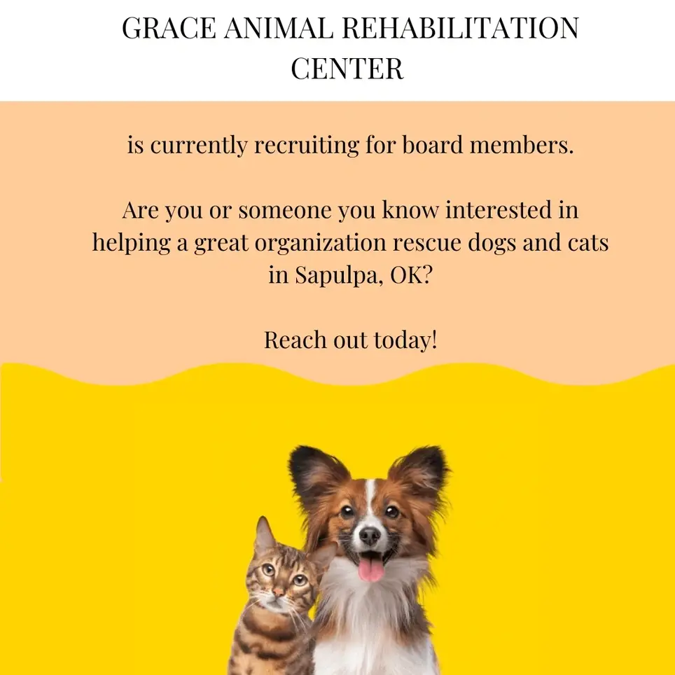Board Member for Animal Rescue Non-Profit