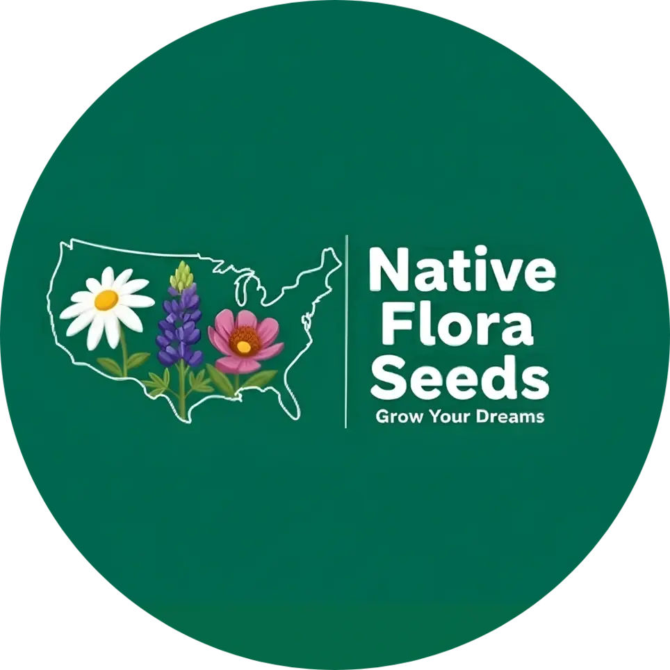 Volunteer Marketing Lead (Compensated Volunteer Position)